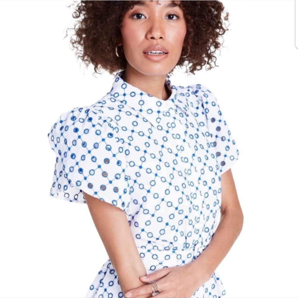 Alexis Dot Tulip Short Sleeve Blue White Embroidered Mini Dress - Picture 4 of 16